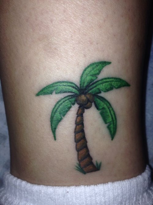 Awesome Palm Tree Tattoo On Ankle